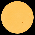 SDO/HMI Continuum Image of the Sun